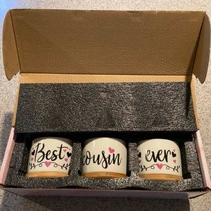 New in box Succulent Pots